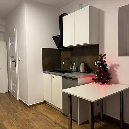 Apartment Miniapartamenty Ibisa